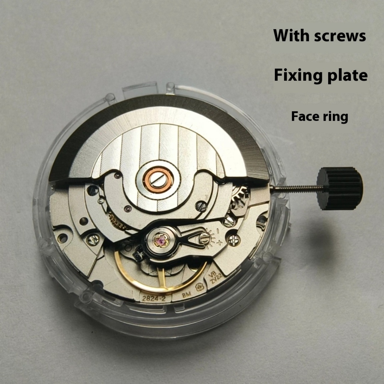 V8 Stainless Steel Eco-Friendl - Watch V8 reseña y precio