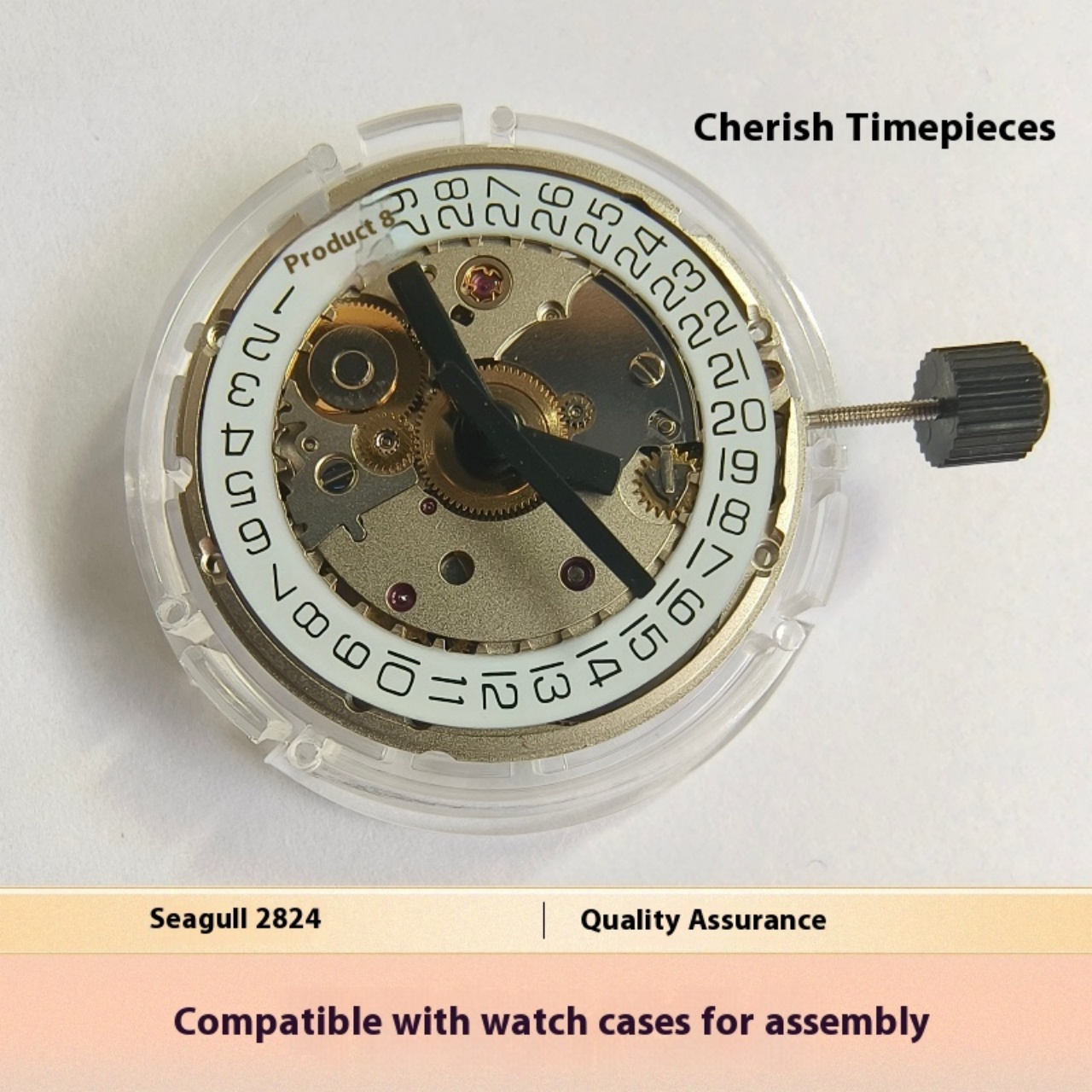 V8 Stainless Steel Eco-Friendl - Watch V8 reseña y precio